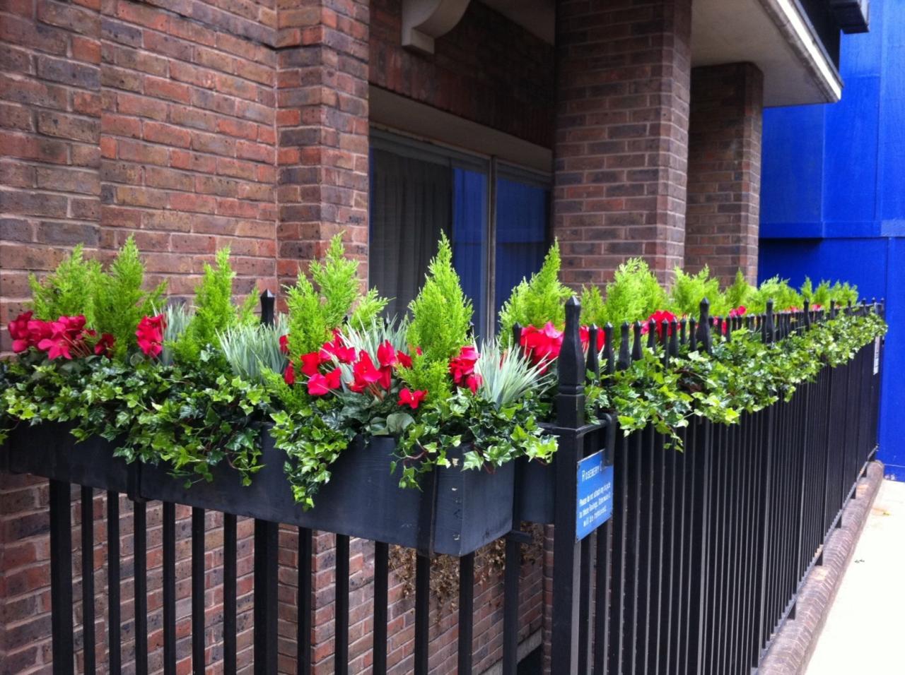 How to Install Hanging Plants on a Balcony