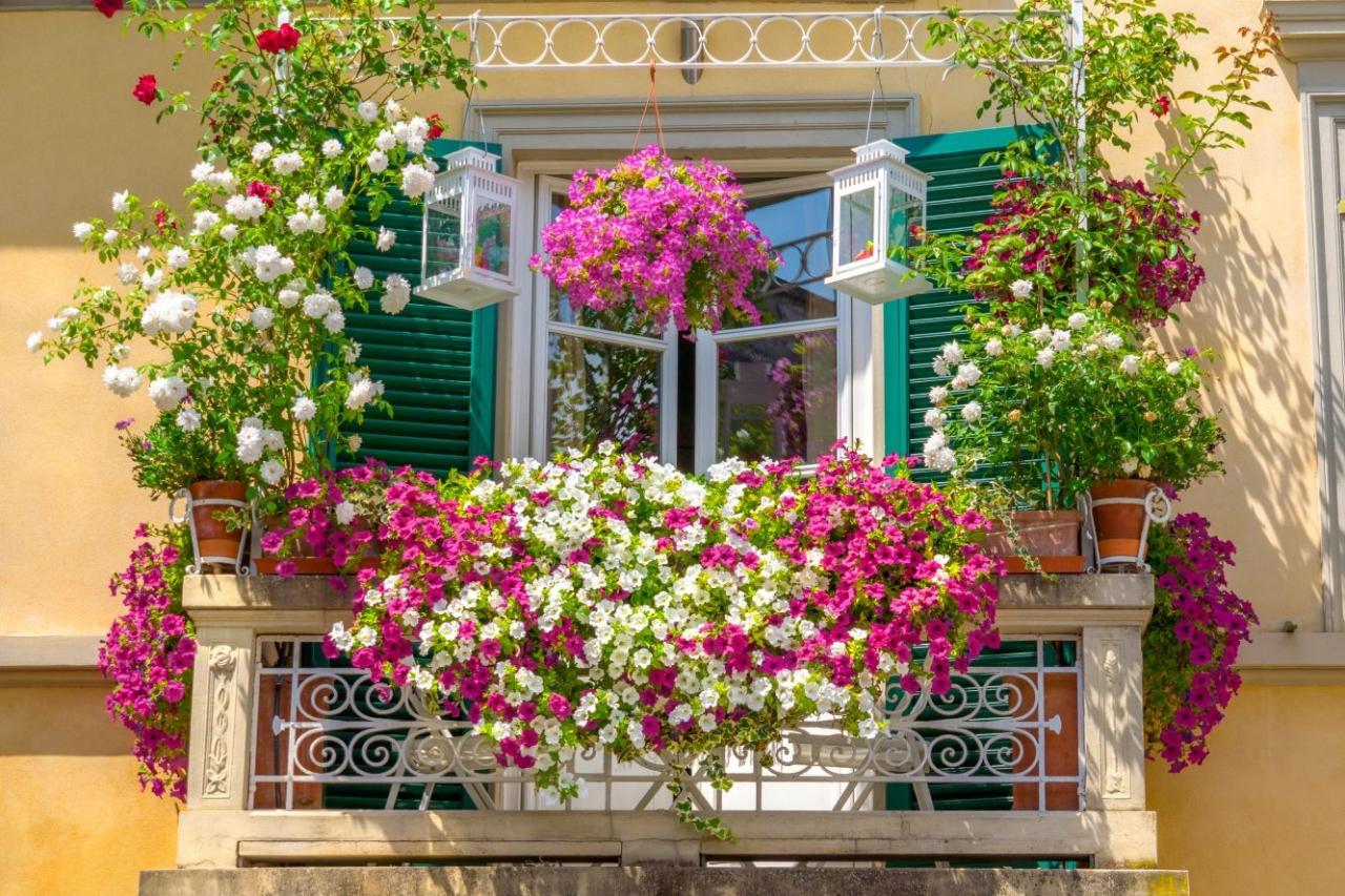 How to Install Hanging Plants on a Balcony